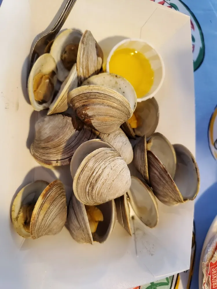 12 Steamed Littleneck Clams