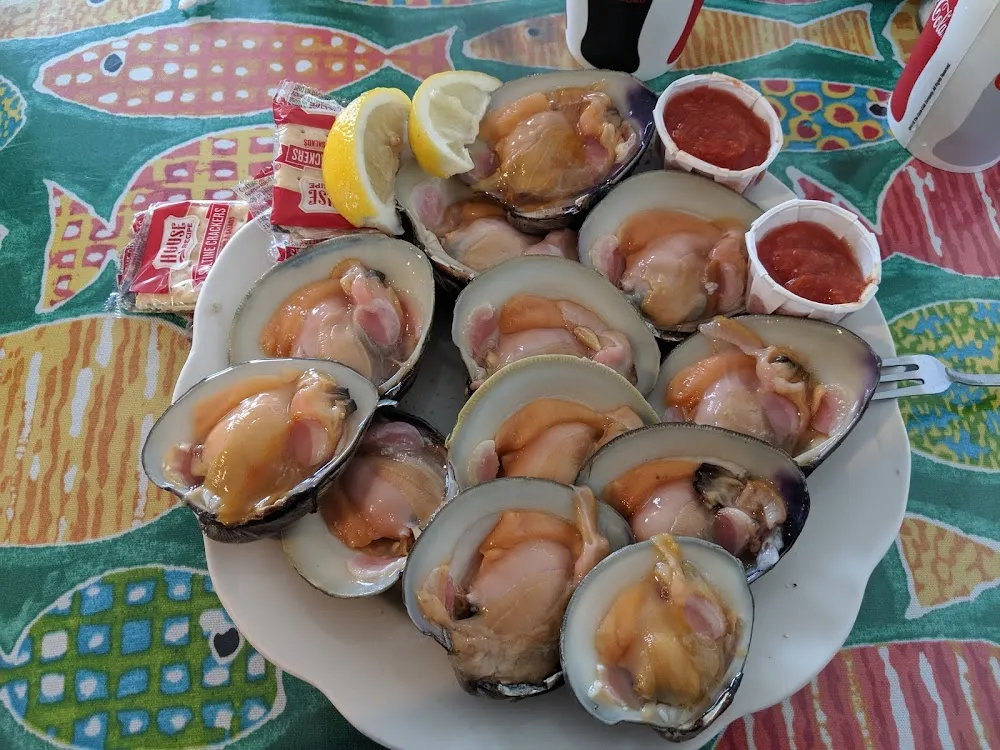 Dozen Clams on the Half Shell - Top Necks
